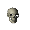Skull2.gif (40167 bytes)